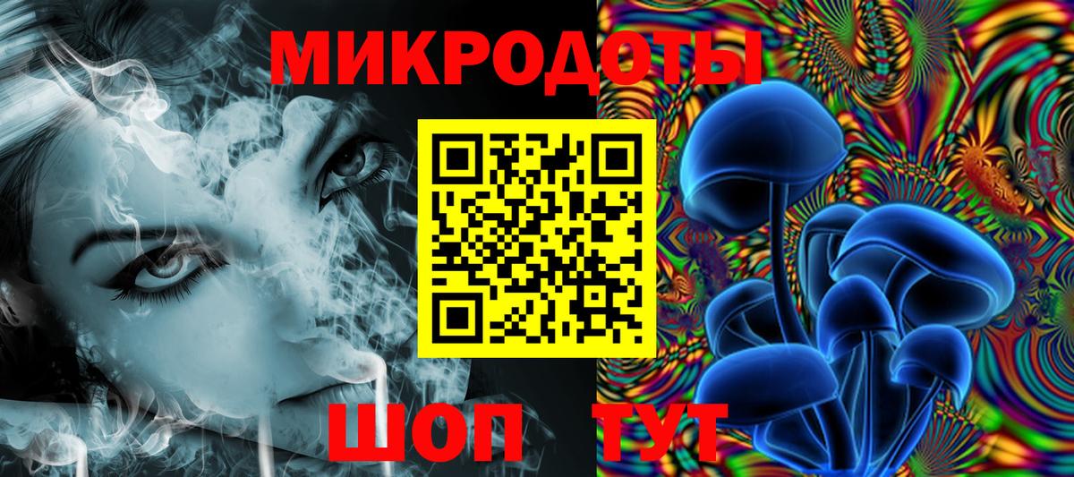 закладка  Галлюциногенные грибы MAGIC MUSHROOMS  Чернушка  Вход с VPN  Галлюциногенные грибы Psilocybine cubensis 