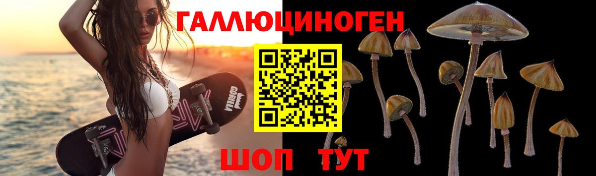 Галлюциногенные грибы мухоморы Чернушка